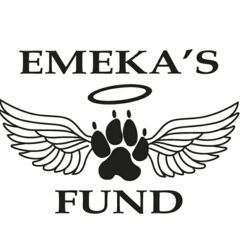 Emeka's Fund